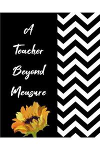 A Teacher Beyond Measure