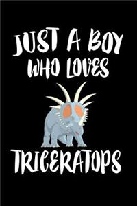 Just A Boy Who Loves Triceratops