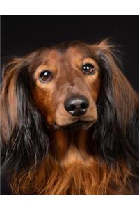Long-haired Dachshund Notebook
