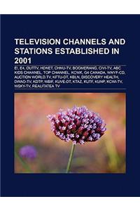 Television Channels and Stations Established in 2001