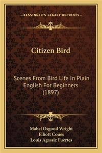 Citizen Bird