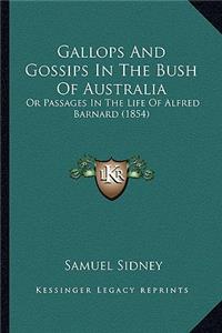 Gallops And Gossips In The Bush Of Australia