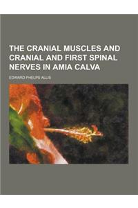 The Cranial Muscles and Cranial and First Spinal Nerves in Amia Calva