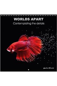 Worlds Apart Contemplating the Details 2018