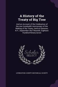 History of the Treaty of Big Tree