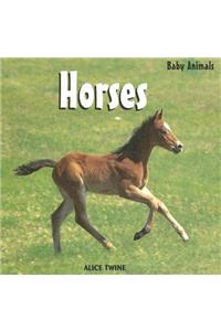 Horses