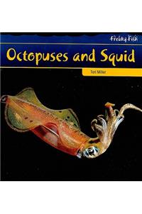 Octopuses and Squid