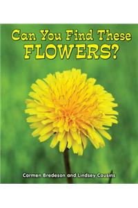 Can You Find These Flowers?