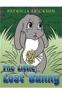 Little Lost Bunny