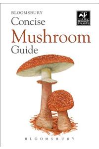 Concise Mushroom Guide