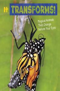 Magical Animals Pack A of 4