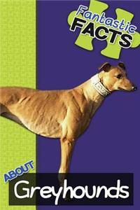 Fantastic Facts about Greyhounds