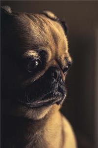 Pensive Fawn-Colored Pug Puppy Dog Portrait Journal