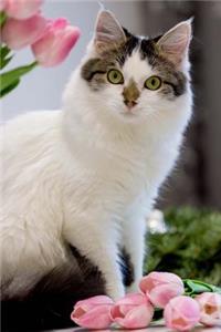 Darling Green Eyed Cat with Pink Tulips Pet Journal