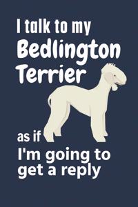 I talk to my Bedlington Terrier as if I'm going to get a reply