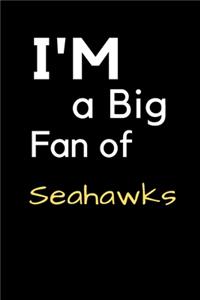 I'm a Big Fan of Seahawks