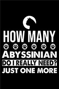 How Many Abyssinian Do I Really Need? Just One More