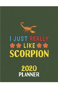 I Just Really Like Scorpion 2020 Planner