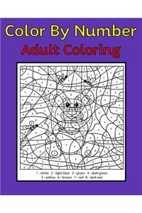 Color By Number Adult Coloring
