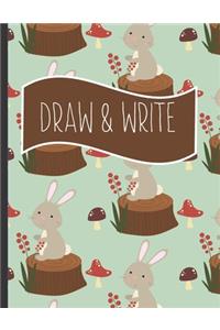 Draw & Write