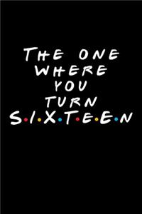 The One Where You Turn Sixteen