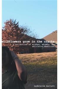 wildflowers grow in the cracks