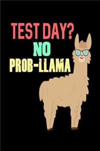 Test Day? No Prob-Llama