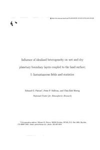 Influence of Idealized Heterogeneity on Wet and Dry Planetary Boundary Layers Coupled to the Land Surface. 1; Instantaneous Fields and Statistics