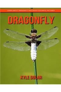 Dragonfly! Learn about Dragonfly and Enjoy Colorful Pictures