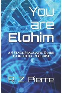 You are Elohim