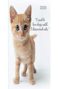 Cute Kittens