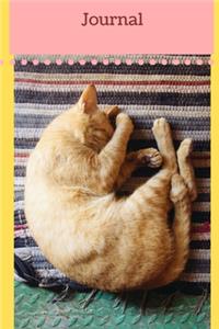 Journal