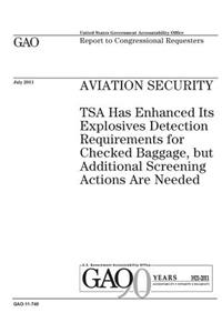 Aviation security