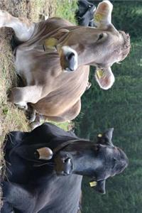 A Pair of Cool Cows with Cow Bells Journal