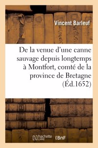 Récit de la venue d'une canne sauvage depuis longtemps à Montfort, comté de la province de Bretagne