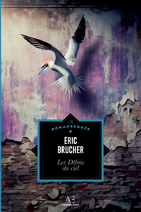 Les Débris du ciel