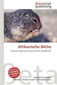 Afrikanische Bilche