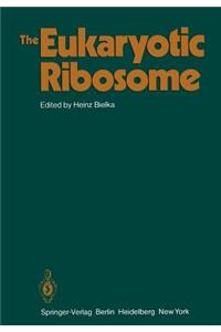 Eukaryotic Ribosome
