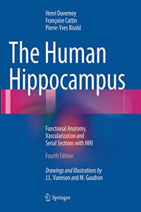 Human Hippocampus