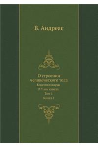 О строении человеческого тела