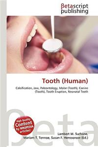 Tooth (Human)