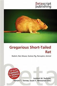 Gregarious Short-Tailed Rat