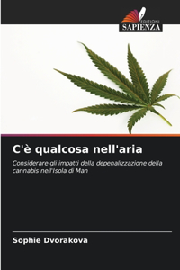 C'è qualcosa nell'aria