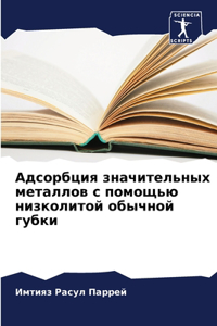 Адсорбция значительных металлов с помощ