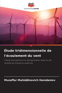 Étude tridimensionnelle de l'écoulement du vent