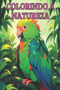 Colorindo a Natureza