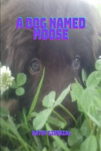 Dog Named Moose