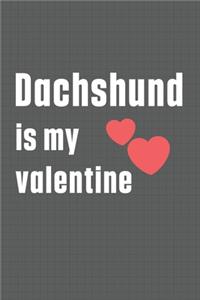 Dachshund is my valentine