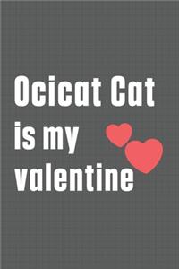 Ocicat Cat is my valentine