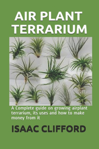 Air Plant Terrarium